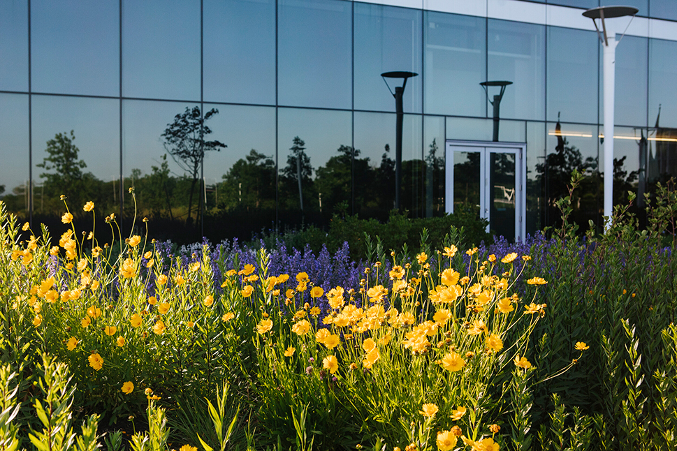 Sustainable landscaping design at Air Products' global headquarters in Lehigh Valley, Pennsylvania