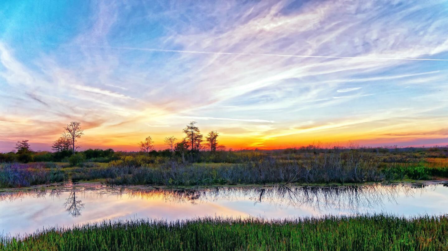 Louisiana Landscape